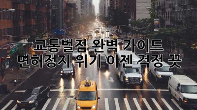 교통벌점 완벽 가이드: 면허정지 위기, 이젠 걱정 끗!