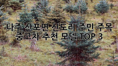 나주 산포면 신도리 주민 주목! 🚗💨 중고차 추천 모델 TOP 3