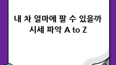 🚗💨 제주에서 전기 중고차 팔기?! 성산읍 고성리 주민 주목! #중고차 #전기차 #제주