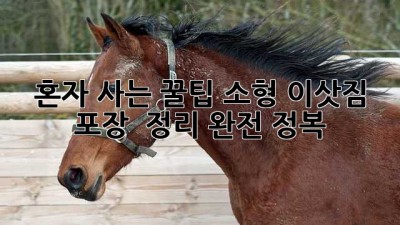 📦 혼자 사는 꿀팁! 소형 이삿짐 포장 & 정리 완전 정복 🏡